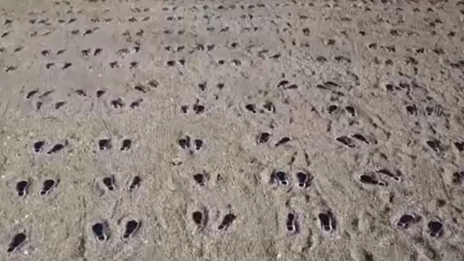 UK beach art commemorates US troops in WW2 tragedy