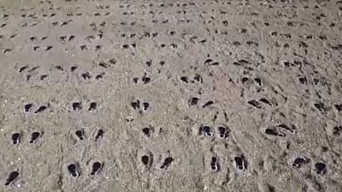 UK beach art commemorates US troops in WW2 tragedy