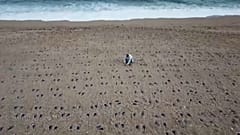 Slapton Sands: Αποτυπώματα στην άμμο στην μνήμη 749 στρατιωτών