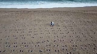 Slapton Sands: Αποτυπώματα στην άμμο στην μνήμη 749 στρατιωτών