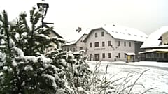 Slowenien: Tulpen im Eismantel