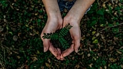 How to make your garden more eco-friendly