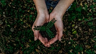How to make your garden more eco-friendly