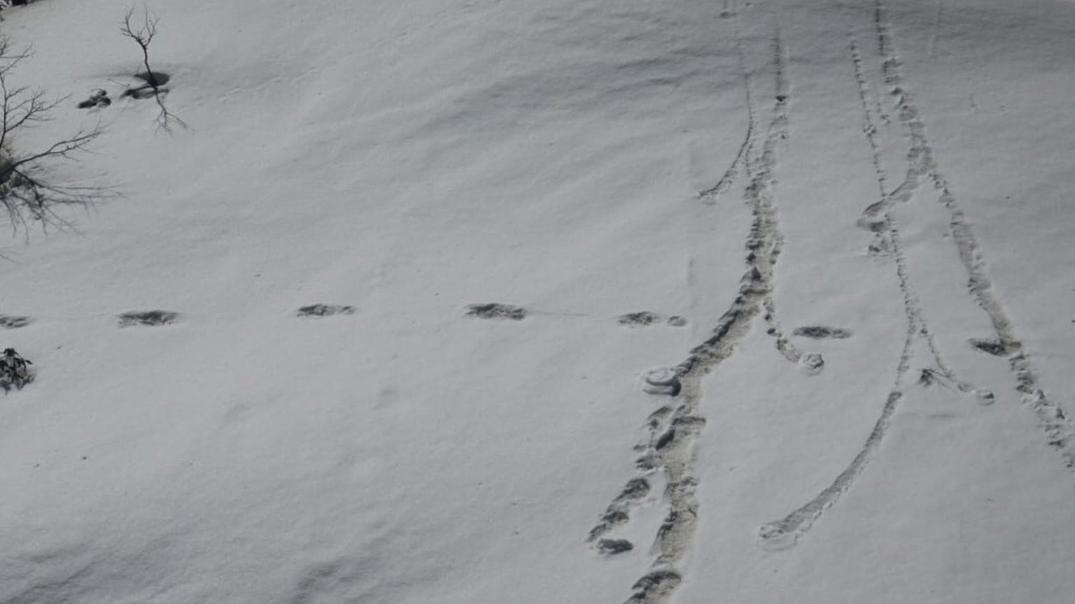 Indische Armee veröffentlicht Fotos von Yeti-Spuren und erntet Spott