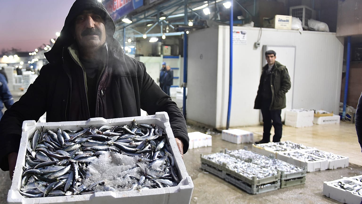 Karadeniz hamsisi Avrupa'da en çok Fransa'ya satıldı