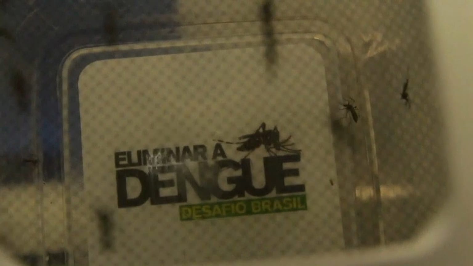 Aumenta o número de casos de Dengue no Brasil