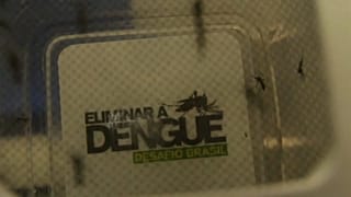 Aumenta o número de casos de Dengue no Brasil