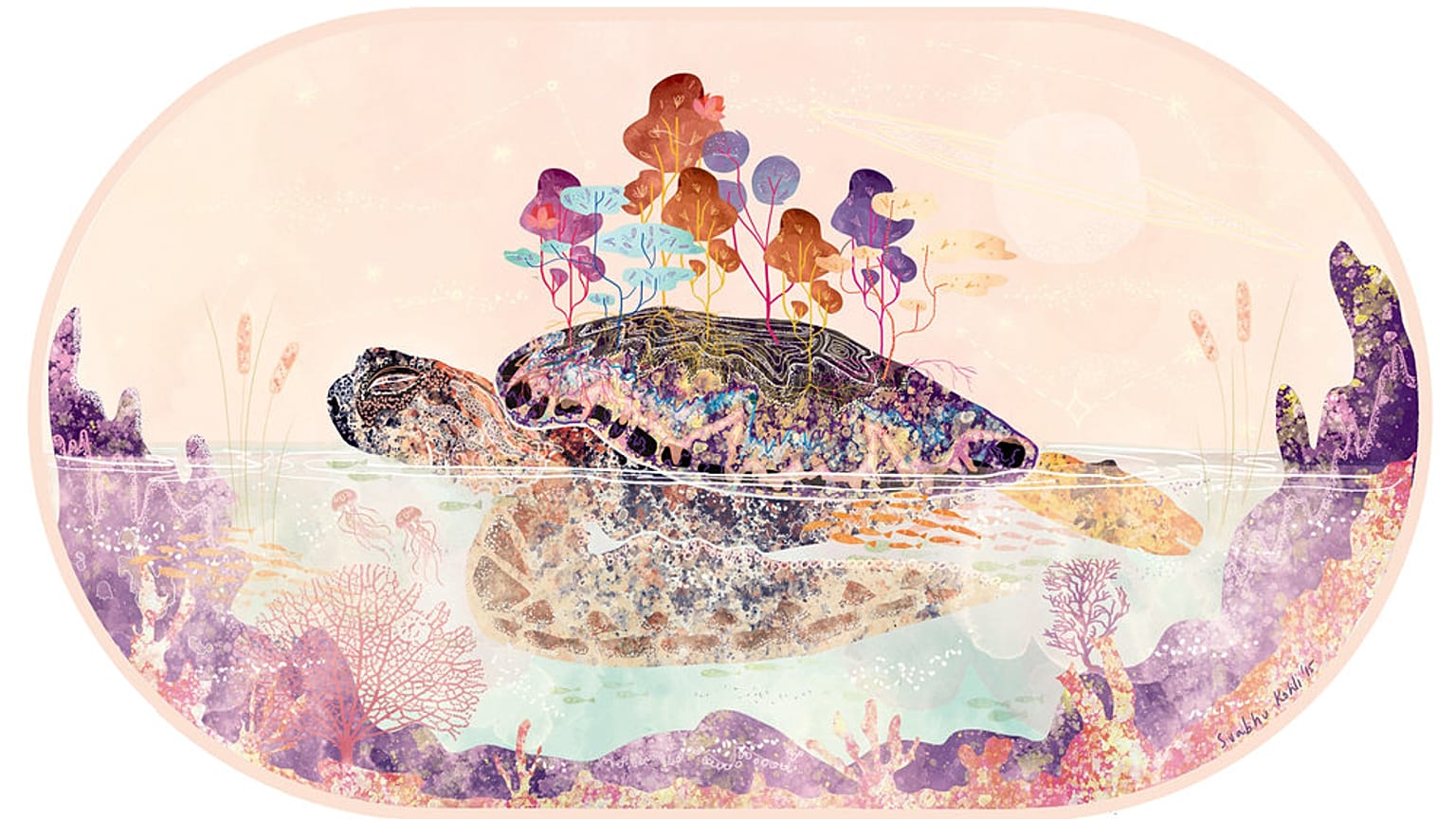 Portrait of an environmental artist: Svabhu Kohli