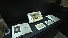 Leonardo Da Vinci e la ciocca della discordia 