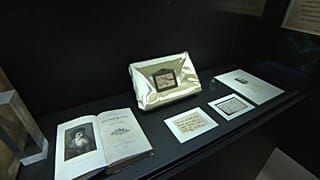 Leonardo Da Vinci e la ciocca della discordia