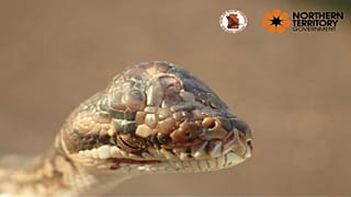 رويترز
