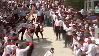 "Лошадки-виновозы" снова спасли испанскую деревню