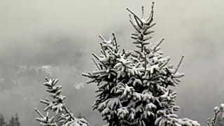 Havazott a Harz hegységben