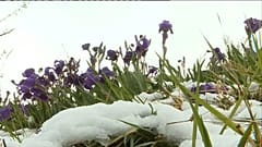 Schnee an der Côte d'Azur