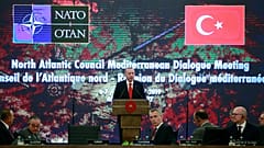Cumhurbaşkanı Erdoğan, NATO Akdeniz Diyaloğu Ortakları Toplantısı'nda