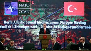 Cumhurbaşkanı Erdoğan, NATO Akdeniz Diyaloğu Ortakları Toplantısı'nda