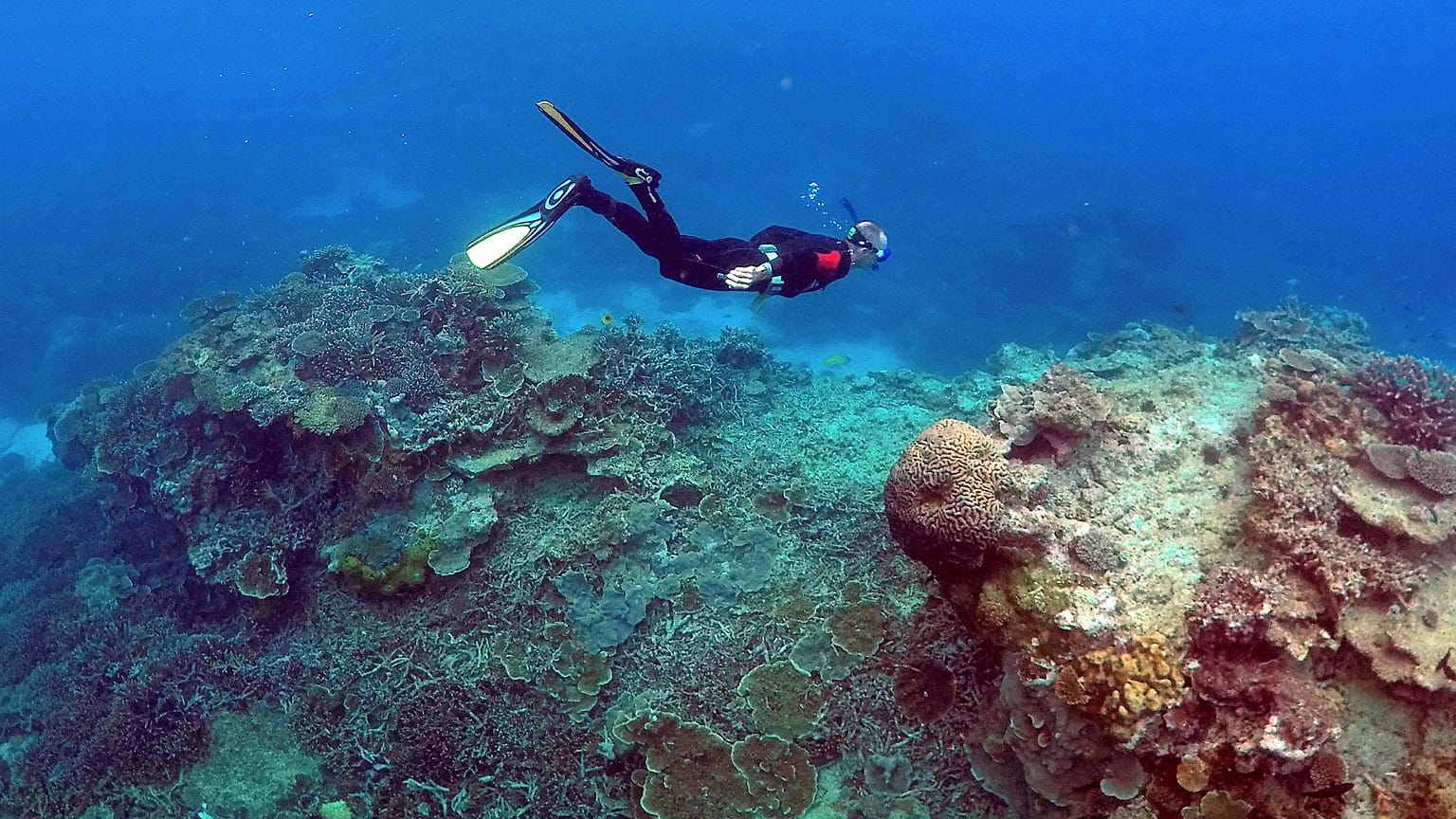 Plus d'une tonne de déchets retirés de mer Egée