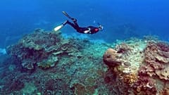 Plus d'une tonne de déchets retirés de mer Egée