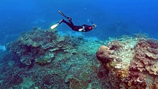 Plus d'une tonne de déchets retirés de mer Egée