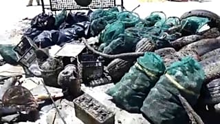 شاهد: غواصون متطوعون يزيلون أطنانا من النفايات في بحر اليونان