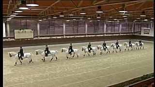 A világörökség részévé tennék a lipicai ménest