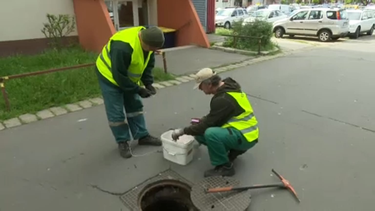 Túlszaporodtak a patkányok a fővárosban