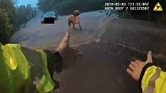 Трое без лодки, собака убежала