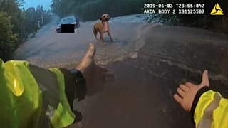Трое без лодки, собака убежала