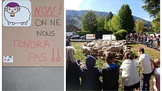 Ένα σχολείο έχει 15 νέους μαθητές...πρόβατα!