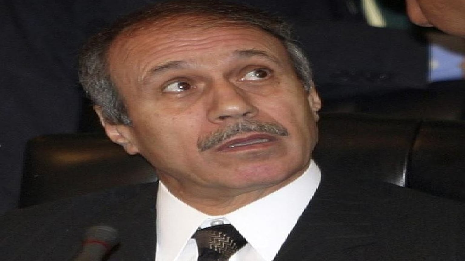 حبيب العادلي 