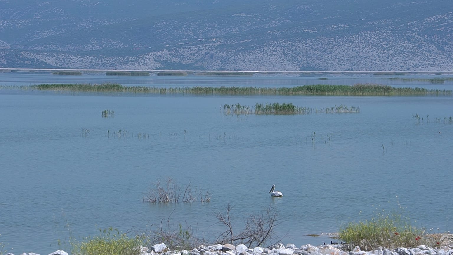 Λίμνη Κάρλα: Η νεκρανάσταση ενός παραδείσου