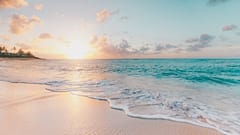 Newly opened eco-resorts offering a green escape