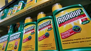 Monsanto pris la main dans le fichier