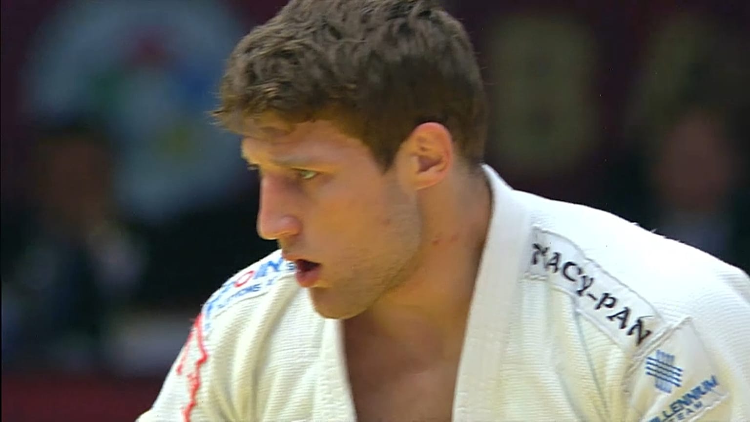 Nemanja Majdov 