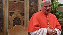 ‘I wasn’t drunk’: Pope Francis aide climbs down manhole to restore homeless shelter’s power