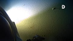 Spotted objects are being analysed to confirm they are plastic debris.
