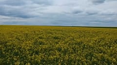 Как привлечь молодёжь на фермы. 