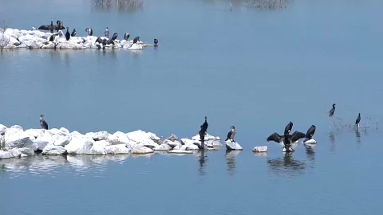 Renascimento do lago Karla