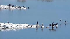 Renascimento do lago Karla