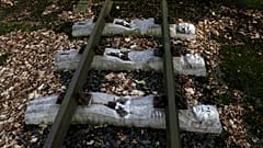 Σάλος με δηλώσεις κληρονόμου της Bahlsen για την καταναγκαστική εργασία με τους ναζί