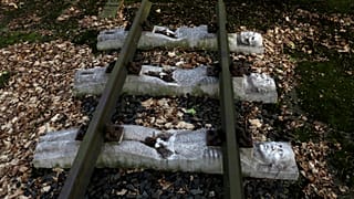Σάλος με δηλώσεις κληρονόμου της Bahlsen για την καταναγκαστική εργασία με τους ναζί