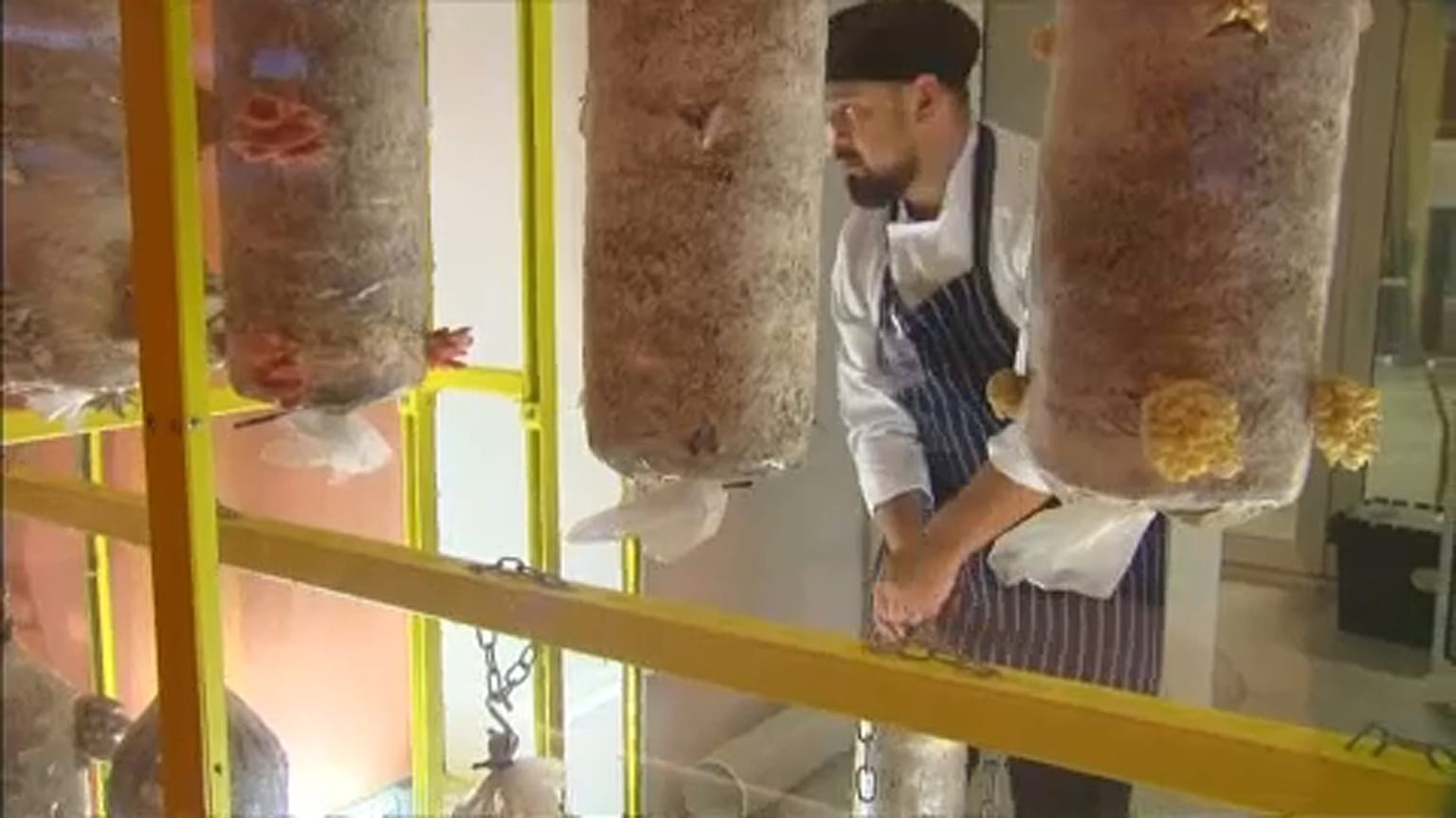 بعض قوالب الجبنة المصنعة من البكتيريا