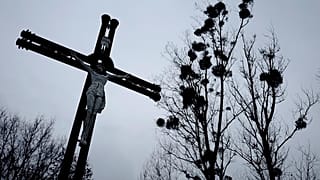 Youtube'a yüklenen belgesel sonrası Polonya çocuk tacizine verilen cezayı arttırmaya karar verdi