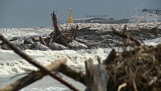 Emilia Romagna: la riviera sommersa da 3000 tonnellate di detriti