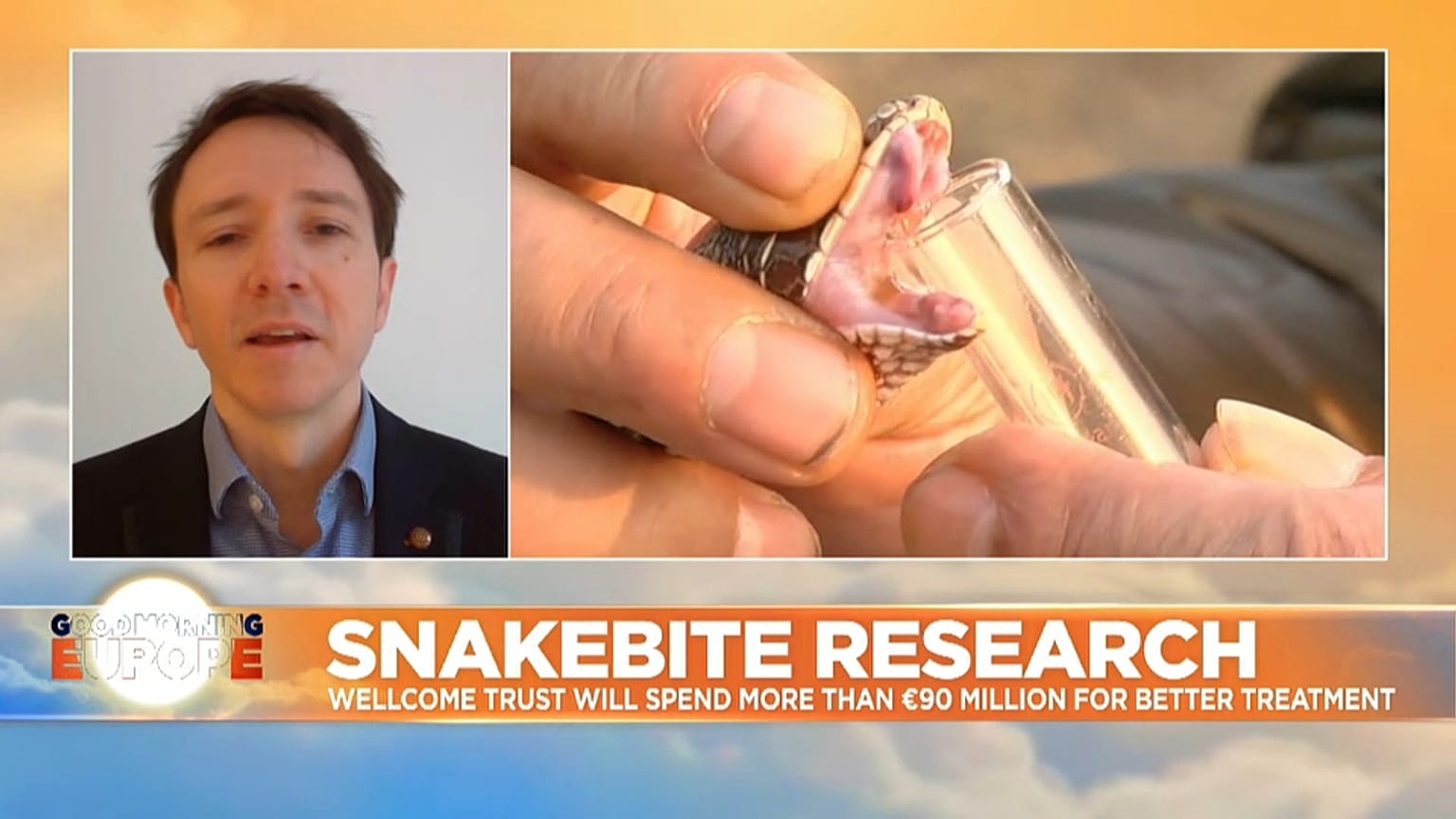Snakebite deaths 'one of the world's biggest hidden health crises'