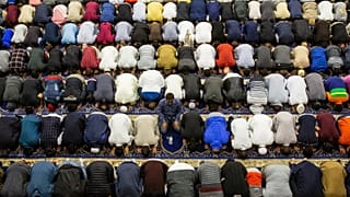 The case of the Muslim Brotherhood app shows why we need to cooperate to combat extremism ǀ View