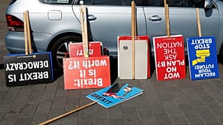 Anti-Brexit posters outside Westminster.