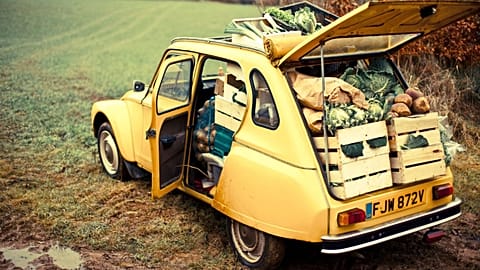 Fresh produce delivery boxes