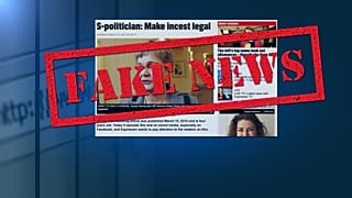 Fake story about pro-incest MEP shared widely on Facebook, say fact-checkers