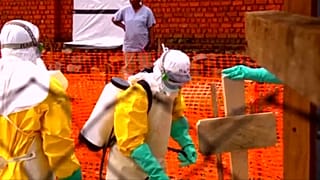 Különleges ebolaügyi ENSZ-megbízott Kongóban